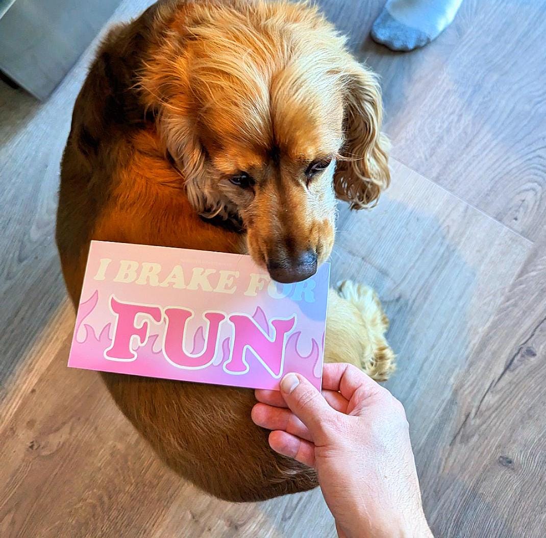 I Brake for Fun Bumper Sticker – Funny Vinyl Car Decal with Pink Flames for Quirky Drivers who like Pastel Aesthetics and Good Times