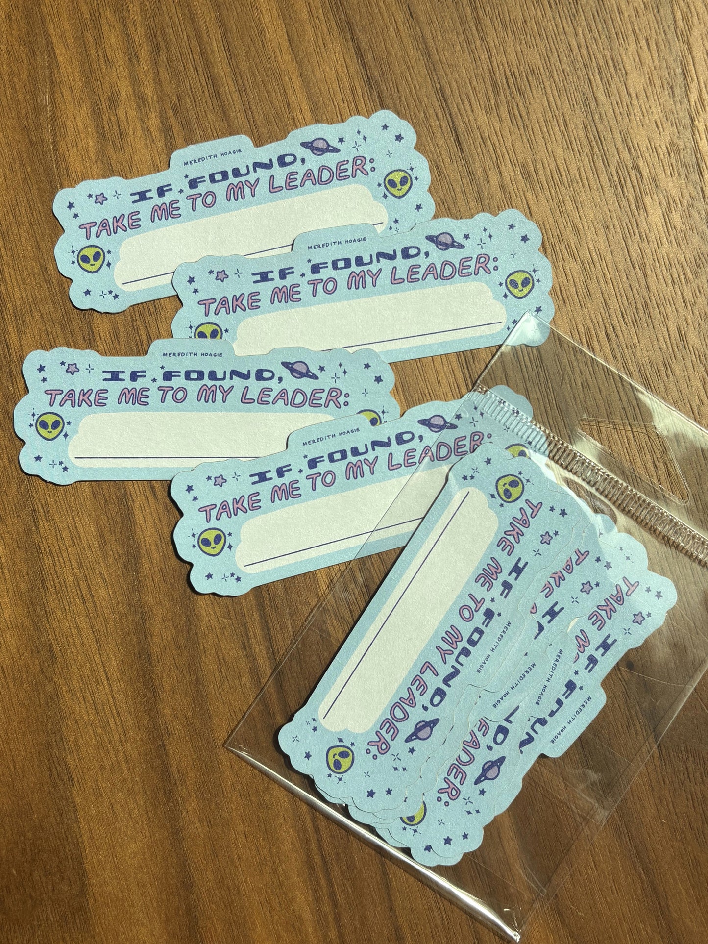 "Take Me To My Leader" Stuff Labels (5-pack)
